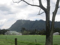 /album/tipos-de-riego/img-6841-jpg/